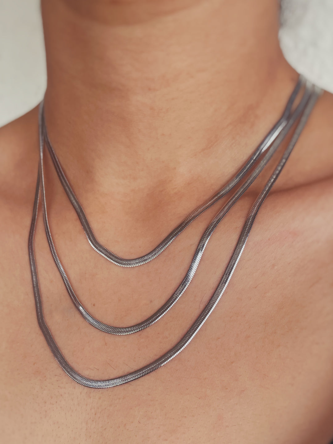 Silver Serpent Layered Necklace