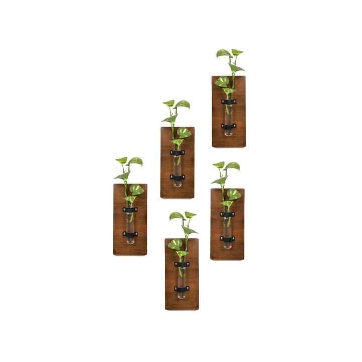 Single Test-tube Wall Planter