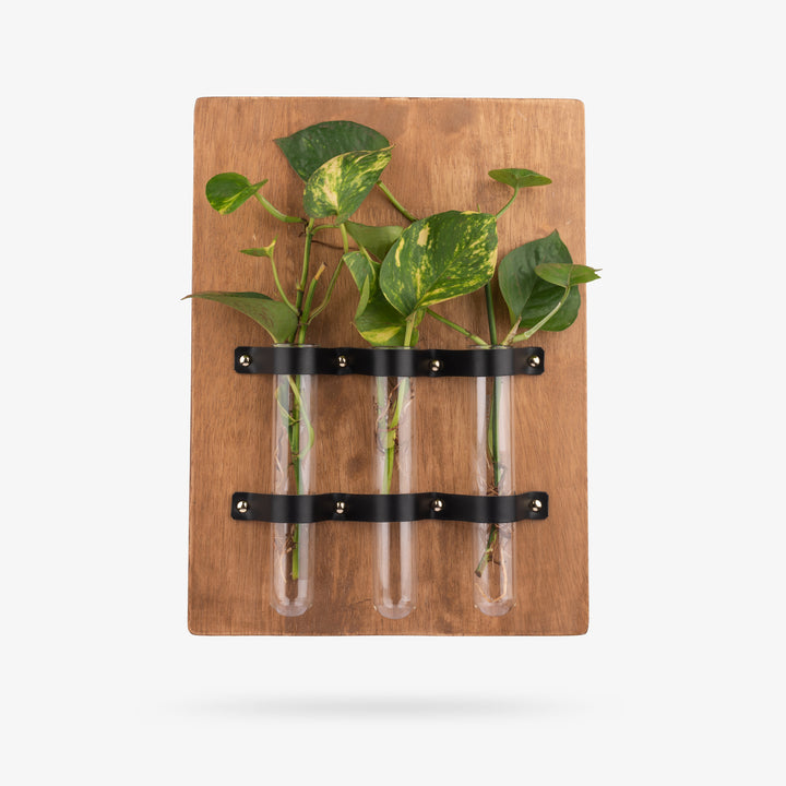 Triple Test-Tube Wall Planter