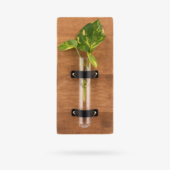 Single Test-tube Wall Planter